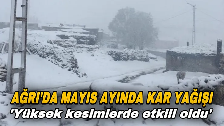 Ağrı'da Mayıs ayında kar yağışı etkili oldu