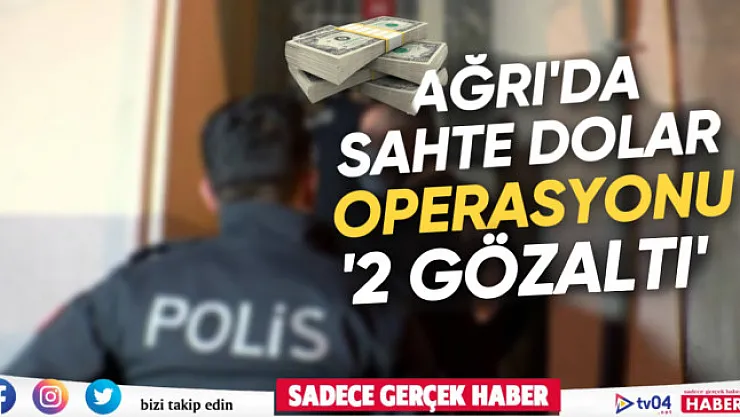 Ağrı'da sahte 28 bin 700 Amerikan doları ele geçirildi