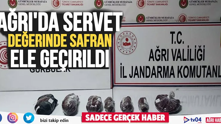 Ağrı'da servet değerinde safran ele geçirildi