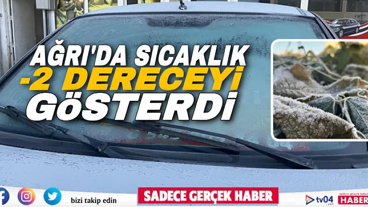 Ağrı'da termometreler eksi 2 dereceyi gösterdi