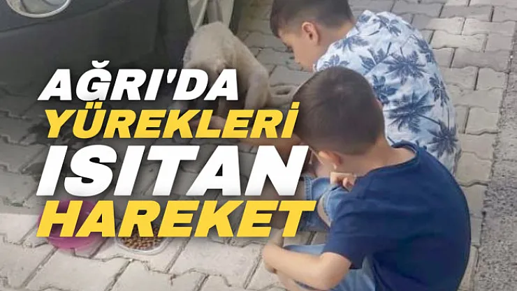 Ağrı'da yürekleri ısıtan hareket! Arabanın çarptığı yavru köpeği sahiplendiler