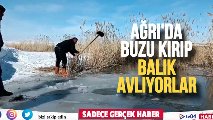 Ağrı'da yüzeyi donmuş nehirde buzu kırıp balık avlıyorlar
