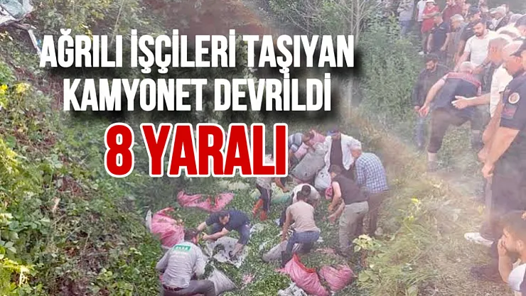 Ağrılı Çay İşçilerini Taşıyan Kamyonet Kaza Yaptı: 8 Yaralı