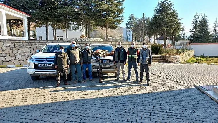 Tunceli'de iki yaban keçisi avlayan şahıslara 125 bin lira ceza kesildi
