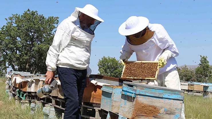 Sert geçen kış ve yaşanan kar yağışı arıcıları sevindirdi, verimli bir sezon bekleniyor
