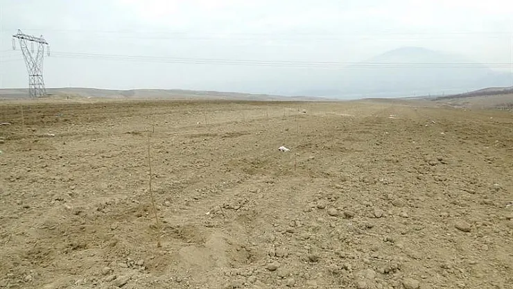 Üretime katkı için mera ve yaylaklar kiralanacak
