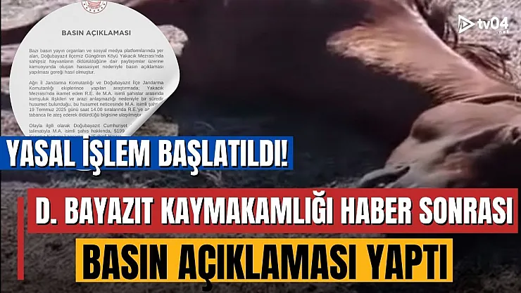 Doğubayazıt Kaymakamlığı vurulan atlar için basın açıklaması yaptı: Sahipleri arasında husumet vardı!