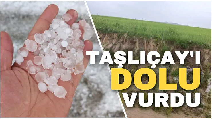 Taşlıçay'ı dolu vurdu