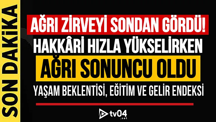 TÜİK Beşeri Kalkınma Endeksi Verilerini Açıkladı: Ağrı Son Sırada