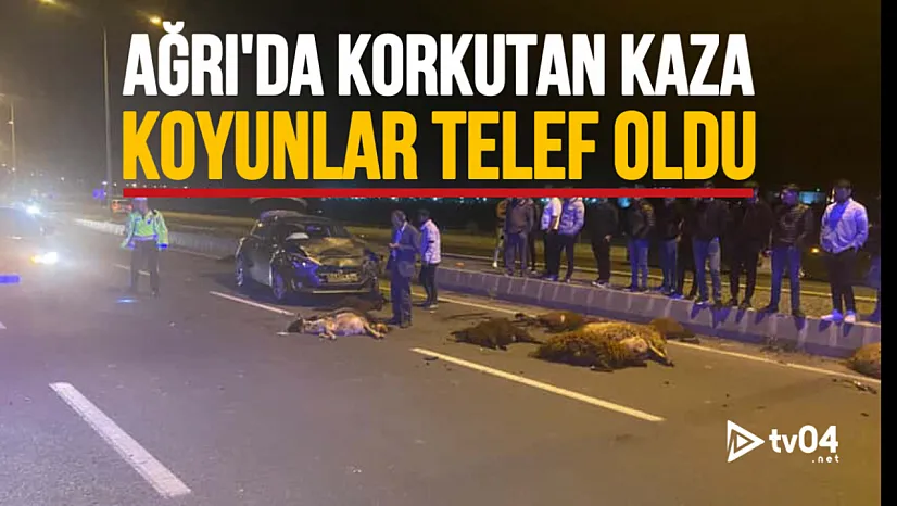 Ağrı Çevre Yolu'nda Trafik Kazası: Koyun Sürüsüne Çarpan Araçta Maddi Hasar Meydana Geldi