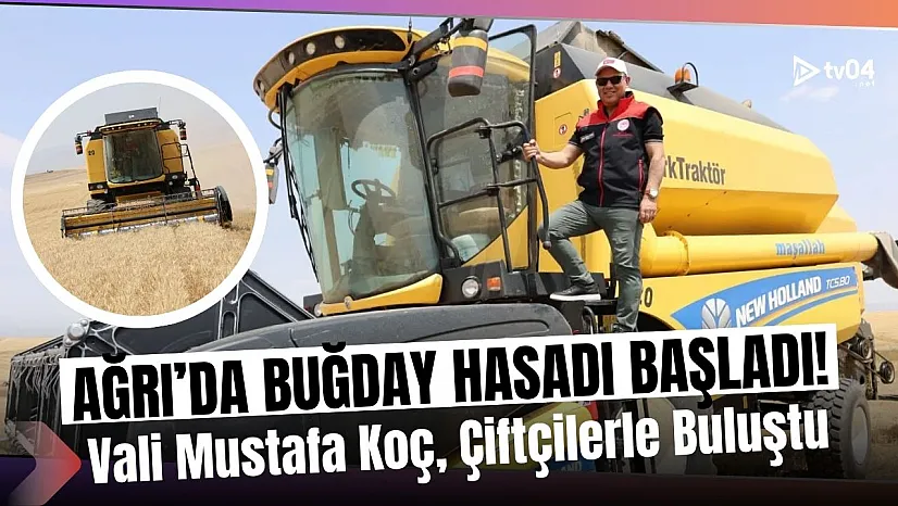 Ağrı'da Buğday Hasadı Başladı: Vali Mustafa Koç Çiftçilerle Tarlada Buluştu