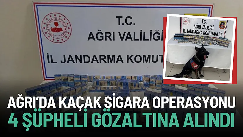 Ağrı Jandarma'dan Kaçak Sigara Operasyonu: 1227 Paket Kaçak Sigara Ele Geçirildi!