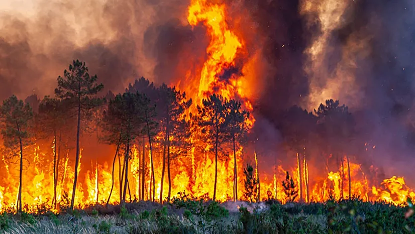 Bakan Yerlikaya'dan Yangın Bilançosu: 21 Milyon TL'yi Aşan Destek Sağlandı