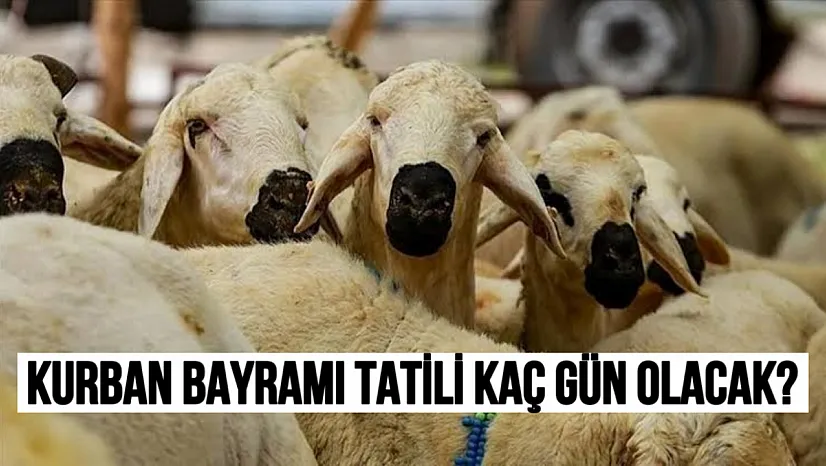 Kurban Bayramı Tatili 9 Gün Olacak mı? Bakan Ersoy'dan Dikkat Çeken Açıklama