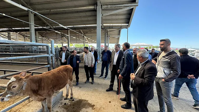 Patnos Hayvan Pazarı Kantar Sorunu Çözülüyor: Besicilere Müjde!