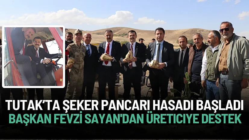 Tutak'ta Şeker Pancarı Hasadı Başladı: Başkan Sayan'dan Üreticiye Destek
