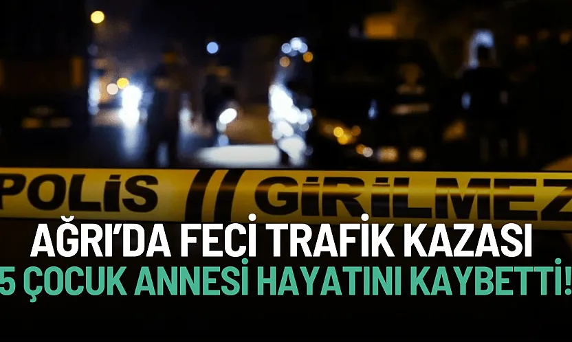Ağrı'da Feci Kaza: Yolun Karşısına Geçen 5 Çocuk Annesi Öldü