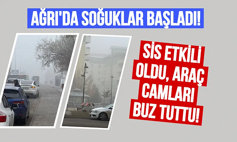 Ağrı'da Kış Kapıyı Çaldı: Sis ve Ayaz Hayatı Olumsuz Etkiliyor