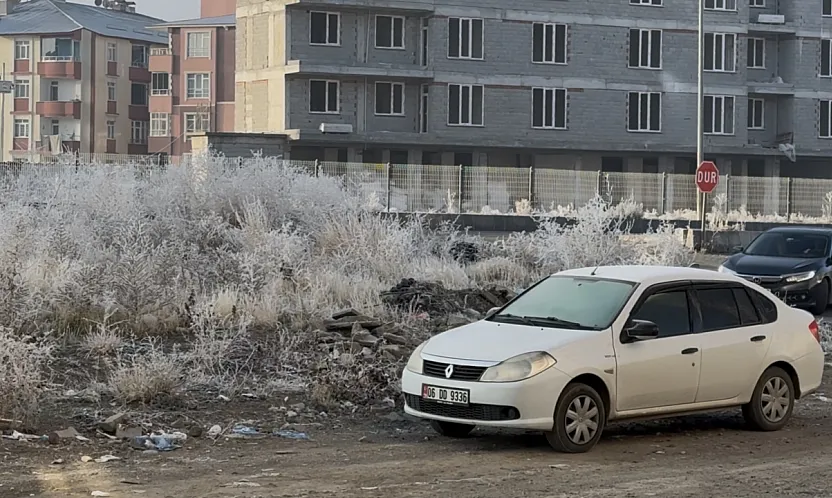 Ağrı'da Soğuklar Etkisini Artırdı: Ağaçlar Kırağı Tuttu, Araçlar Buzla Kaplandı