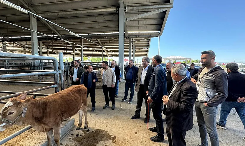 Patnos Hayvan Pazarı Kantar Sorunu Çözülüyor: Besicilere Müjde!