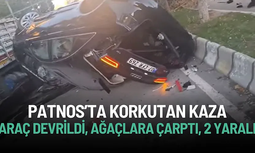 Patnos'ta Korkunç Kaza: Araç Devrildi, Ağaçlara Çarptı, 2 Yaralı